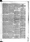 Madras Weekly Mail Wednesday 18 March 1885 Page 19