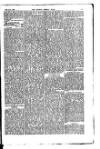 Madras Weekly Mail Saturday 18 July 1885 Page 13