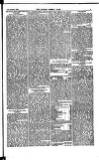 Madras Weekly Mail Saturday 01 August 1885 Page 5