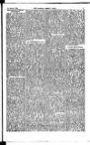 Madras Weekly Mail Saturday 01 August 1885 Page 13