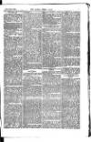 Madras Weekly Mail Saturday 15 August 1885 Page 5