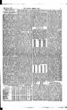 Madras Weekly Mail Saturday 29 August 1885 Page 13