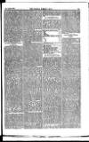 Madras Weekly Mail Wednesday 30 January 1889 Page 17