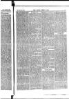 Madras Weekly Mail Thursday 01 January 1891 Page 16