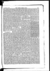 Madras Weekly Mail Thursday 16 February 1899 Page 25
