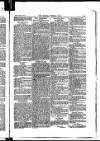 Madras Weekly Mail Thursday 13 April 1899 Page 29