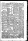 Madras Weekly Mail Thursday 15 March 1900 Page 19