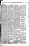 Madras Weekly Mail Thursday 31 January 1901 Page 21