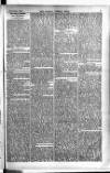 Madras Weekly Mail Thursday 07 January 1904 Page 5