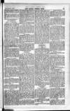 Madras Weekly Mail Thursday 07 January 1904 Page 11