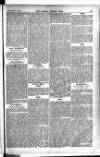 Madras Weekly Mail Thursday 07 January 1904 Page 15