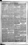 Madras Weekly Mail Thursday 07 January 1904 Page 17