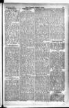 Madras Weekly Mail Thursday 07 January 1904 Page 23