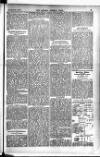 Madras Weekly Mail Thursday 07 January 1904 Page 25