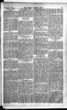 Madras Weekly Mail Thursday 21 January 1904 Page 3