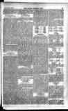 Madras Weekly Mail Thursday 21 January 1904 Page 9