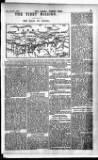 Madras Weekly Mail Thursday 21 January 1904 Page 13