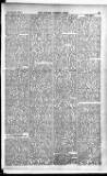 Madras Weekly Mail Thursday 21 January 1904 Page 17