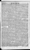 Madras Weekly Mail Thursday 21 January 1904 Page 19