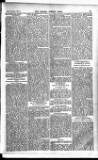 Madras Weekly Mail Thursday 21 January 1904 Page 23