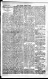 Madras Weekly Mail Thursday 21 January 1904 Page 25