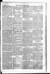 Madras Weekly Mail Thursday 04 February 1904 Page 25