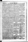 Madras Weekly Mail Thursday 04 February 1904 Page 27