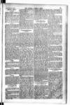 Madras Weekly Mail Thursday 11 February 1904 Page 3