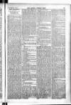 Madras Weekly Mail Thursday 11 February 1904 Page 11