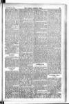 Madras Weekly Mail Thursday 11 February 1904 Page 17