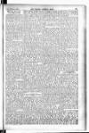 Madras Weekly Mail Thursday 11 February 1904 Page 19
