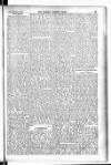 Madras Weekly Mail Thursday 11 February 1904 Page 21