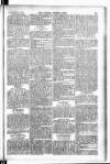 Madras Weekly Mail Thursday 11 February 1904 Page 27