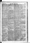 Madras Weekly Mail Thursday 25 February 1904 Page 11