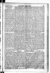 Madras Weekly Mail Thursday 25 February 1904 Page 19