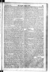 Madras Weekly Mail Thursday 25 February 1904 Page 21