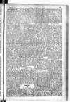 Madras Weekly Mail Thursday 25 February 1904 Page 23