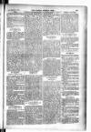 Madras Weekly Mail Thursday 25 February 1904 Page 29