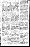 Lyttelton Times Saturday 08 November 1851 Page 3