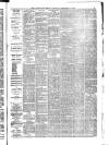 Lyttelton Times Tuesday 03 February 1891 Page 3