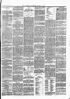 Somerset Guardian and Radstock Observer Saturday 01 March 1902 Page 5