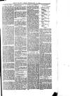 East Kent Times and Mail Thursday 13 February 1896 Page 5