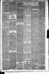 Sleaford Gazette Saturday 19 April 1890 Page 5