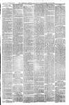 Sleaford Gazette Saturday 22 December 1894 Page 3