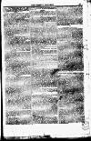 Weekly Dispatch (London) Sunday 30 January 1820 Page 3