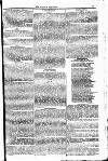 Weekly Dispatch (London) Sunday 10 March 1822 Page 5