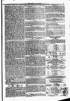 Weekly Dispatch (London) Sunday 04 January 1824 Page 7