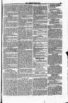 Weekly Dispatch (London) Sunday 18 March 1827 Page 7