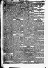 Weekly Dispatch (London) Sunday 11 January 1829 Page 8