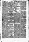 Weekly Dispatch (London) Sunday 01 March 1829 Page 7